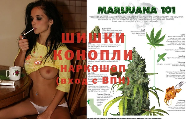 каннабис Абаза