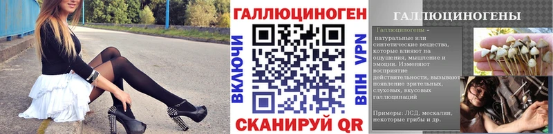 закладка  Советский  MEGA зеркало  Галлюциногенные грибы Psilocybe 